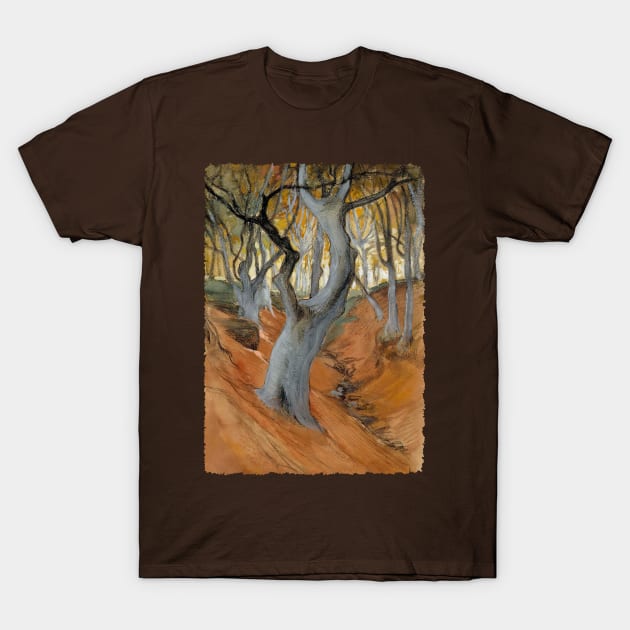 Beech Forest T-Shirt by UndiscoveredWonders